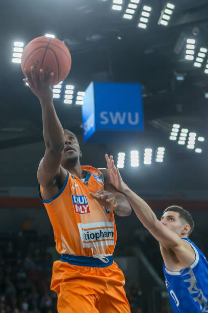 球场上的观 球场上的观